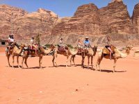 Camel Tour With Camping Under Stars